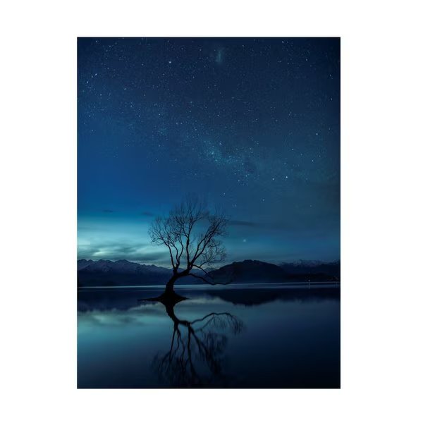 Yu Cheng 'Wanaka Tree' Canvas Art, 18x24, Trademark Fine Art, Mfr#: 1X14825-C1824GG